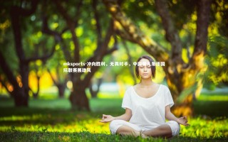 mksports-冲向胜利，无畏对手，中国健儿角逐国际联赛展雄风