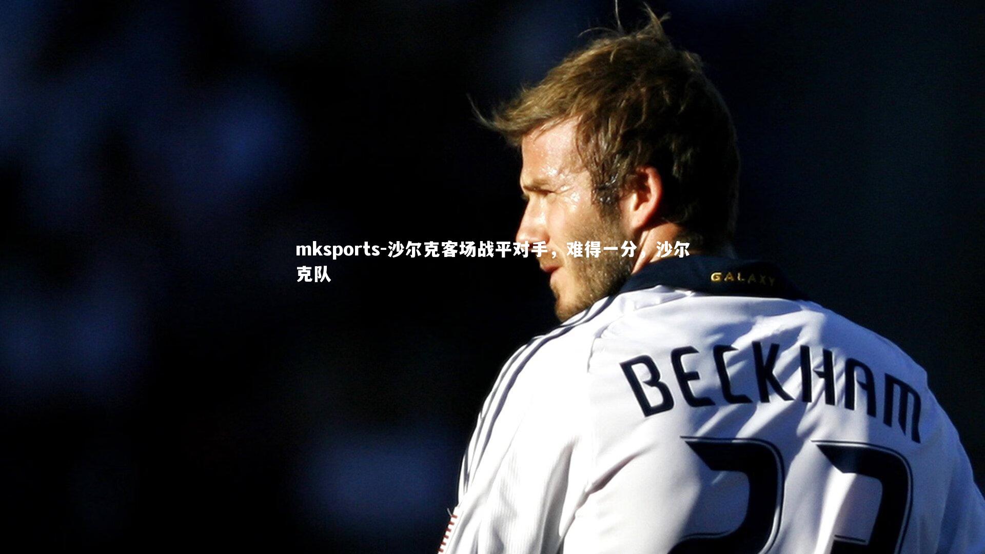 mksports-沙尔克客场战平对手，难得一分，沙尔克队-第1张图片-mksports