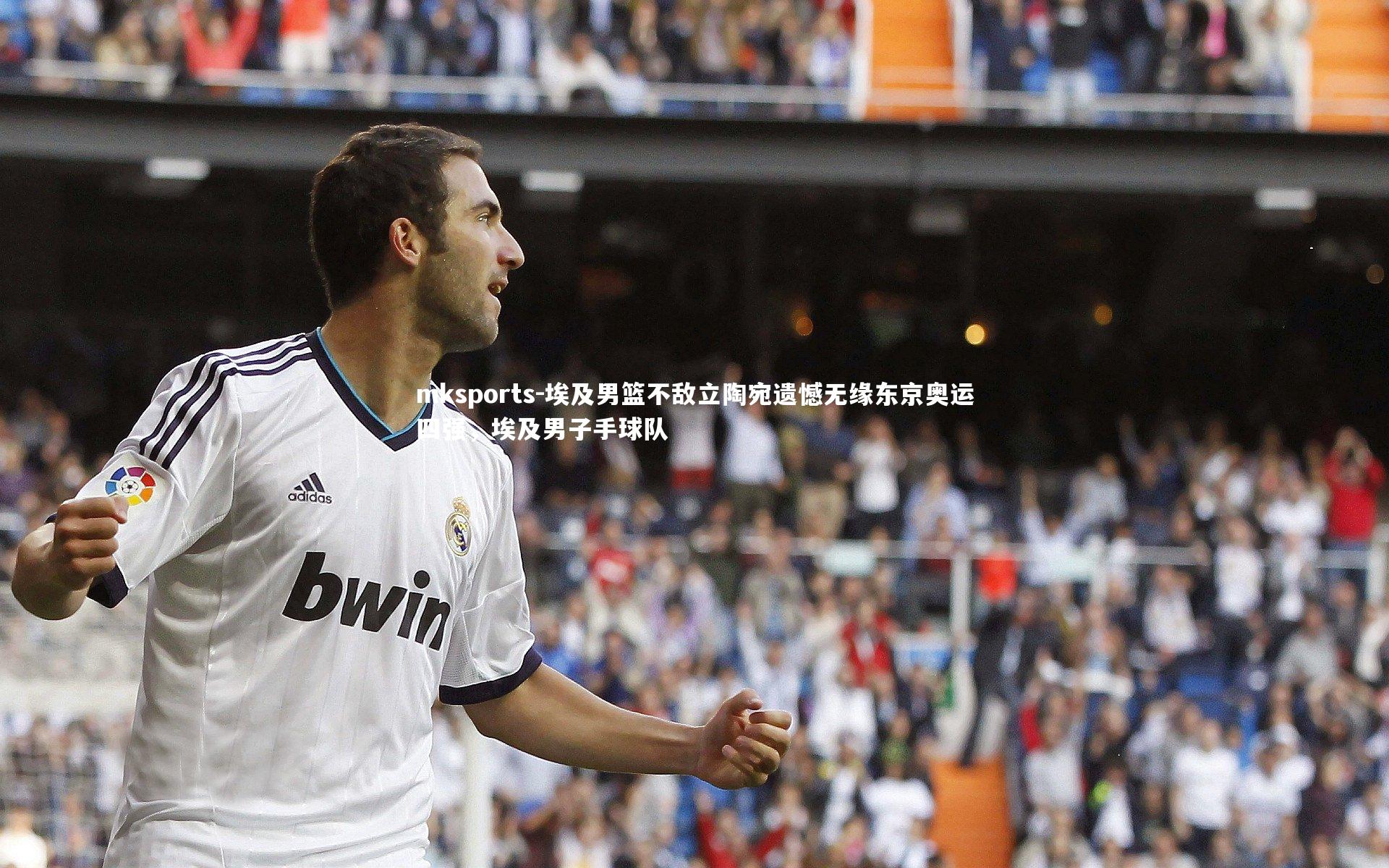 mksports-埃及男篮不敌立陶宛遗憾无缘东京奥运四强，埃及男子手球队-第2张图片-mksports