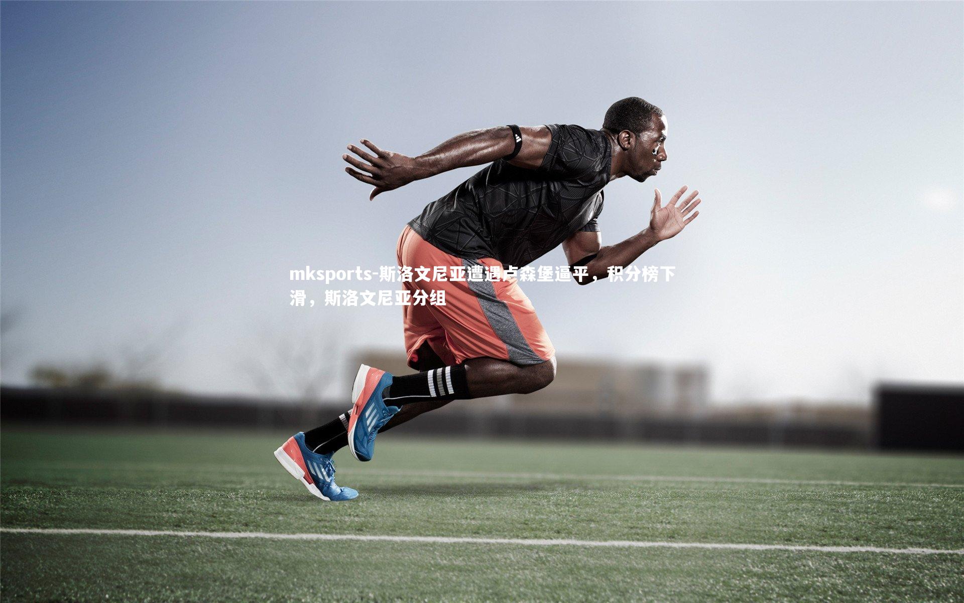 mksports-斯洛文尼亚遭遇卢森堡逼平，积分榜下滑，斯洛文尼亚分组-第1张图片-mksports