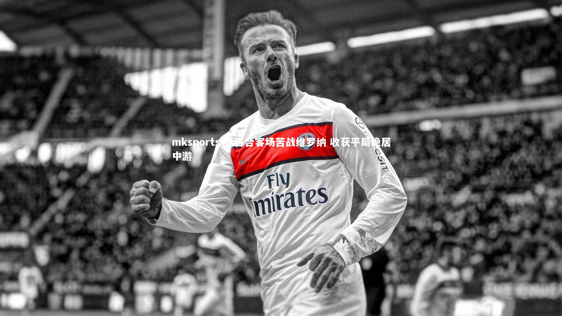 mksports-紫百合客场苦战维罗纳 收获平局稳居中游-第2张图片-mksports