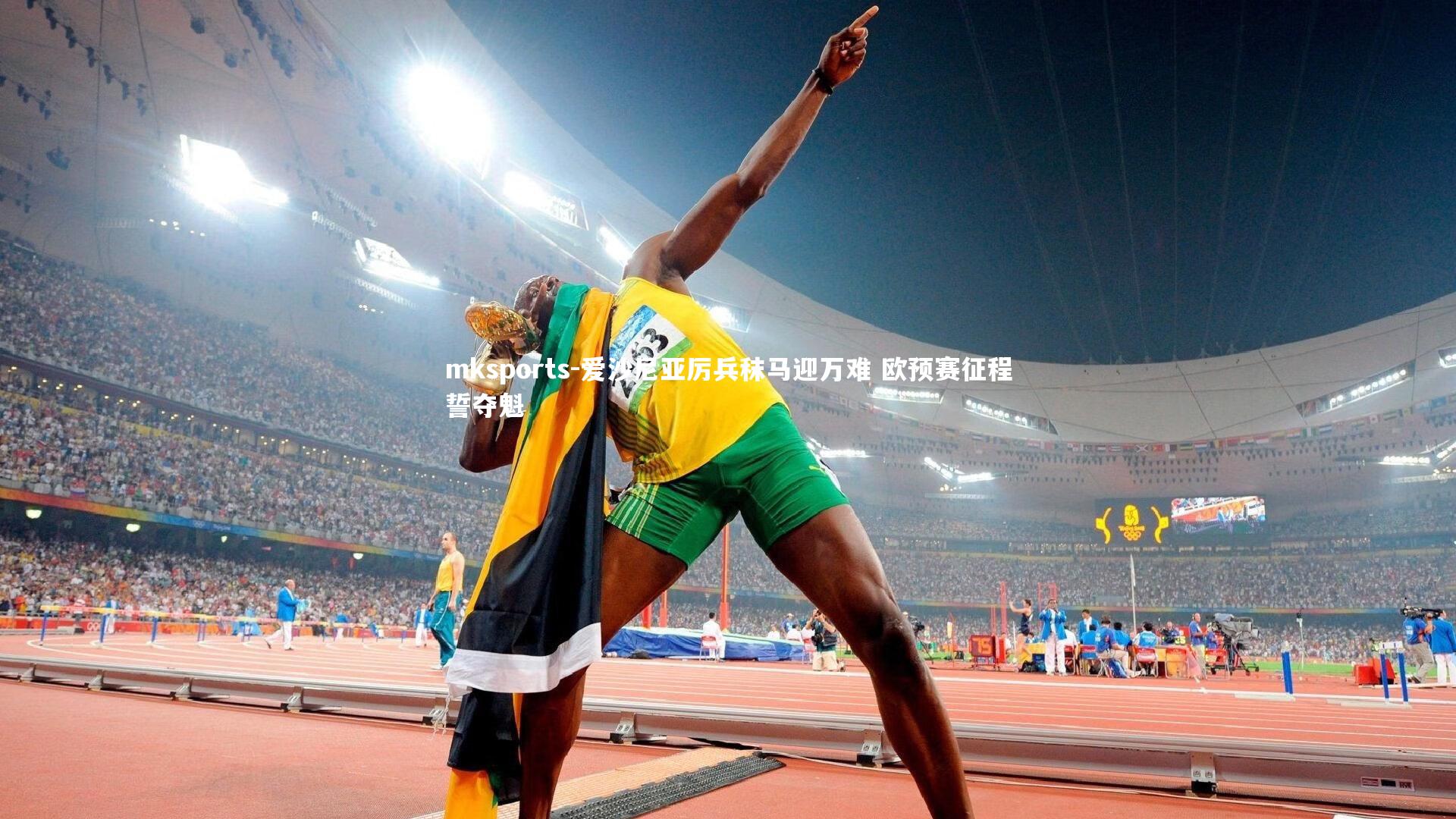 mksports-爱沙尼亚厉兵秣马迎万难 欧预赛征程誓夺魁-第2张图片-mksports